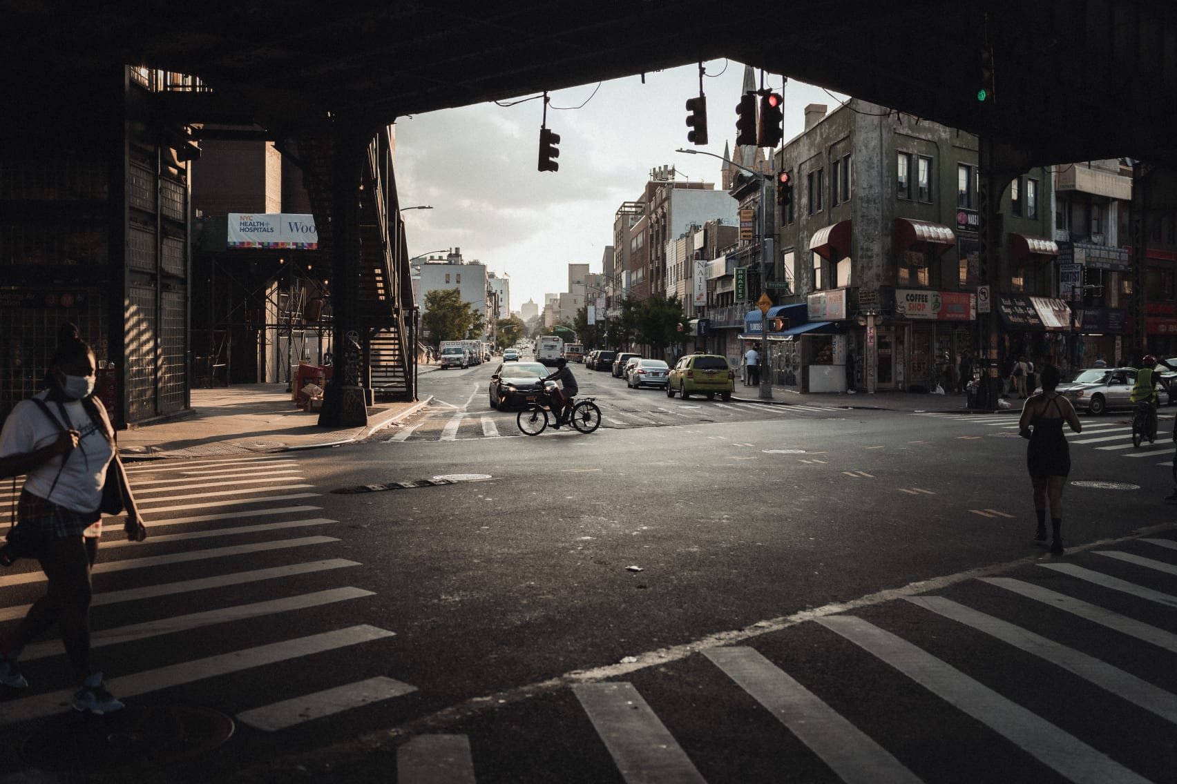 bird removal technician in bushwick