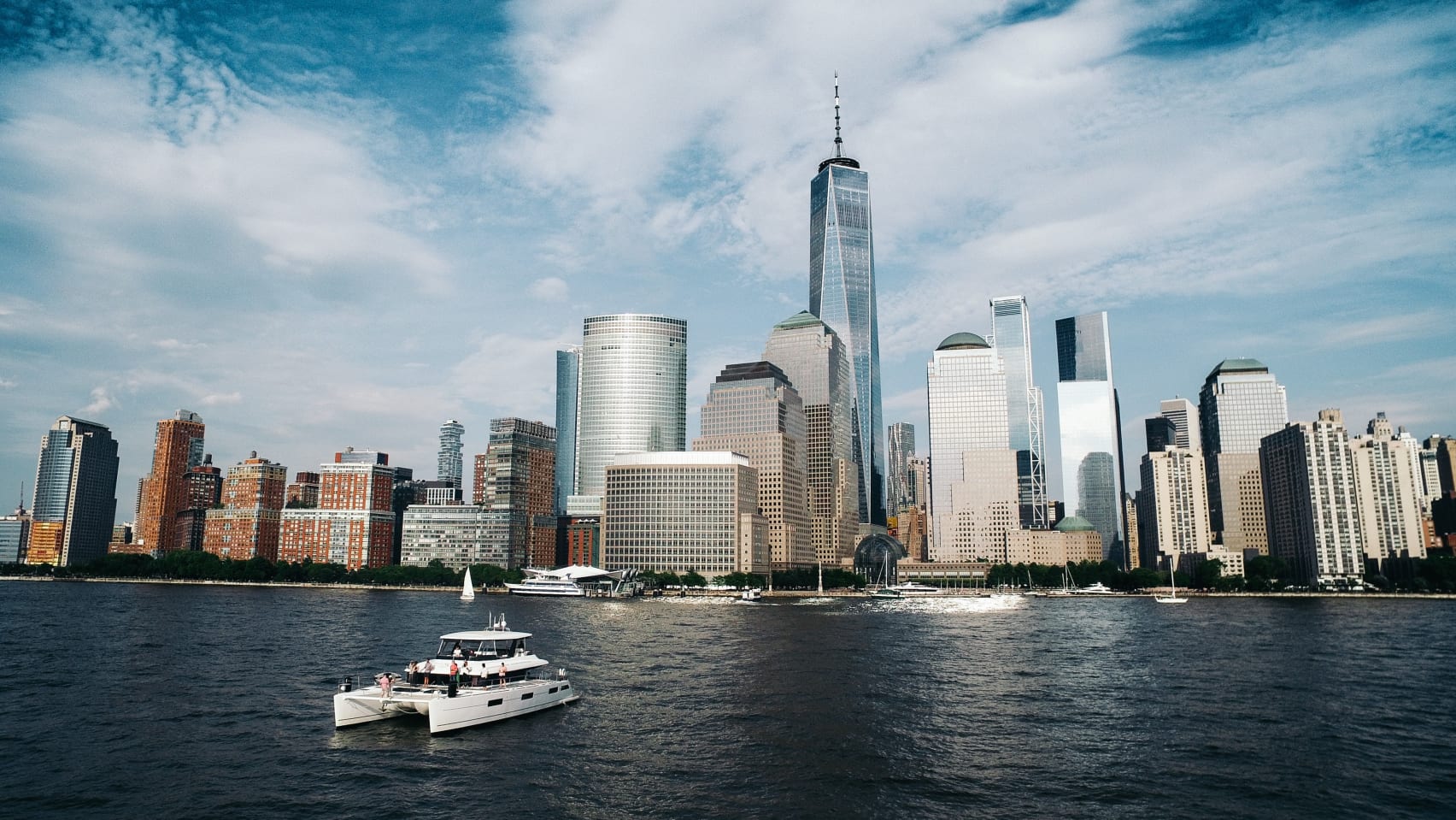 bird removal technician in financial district