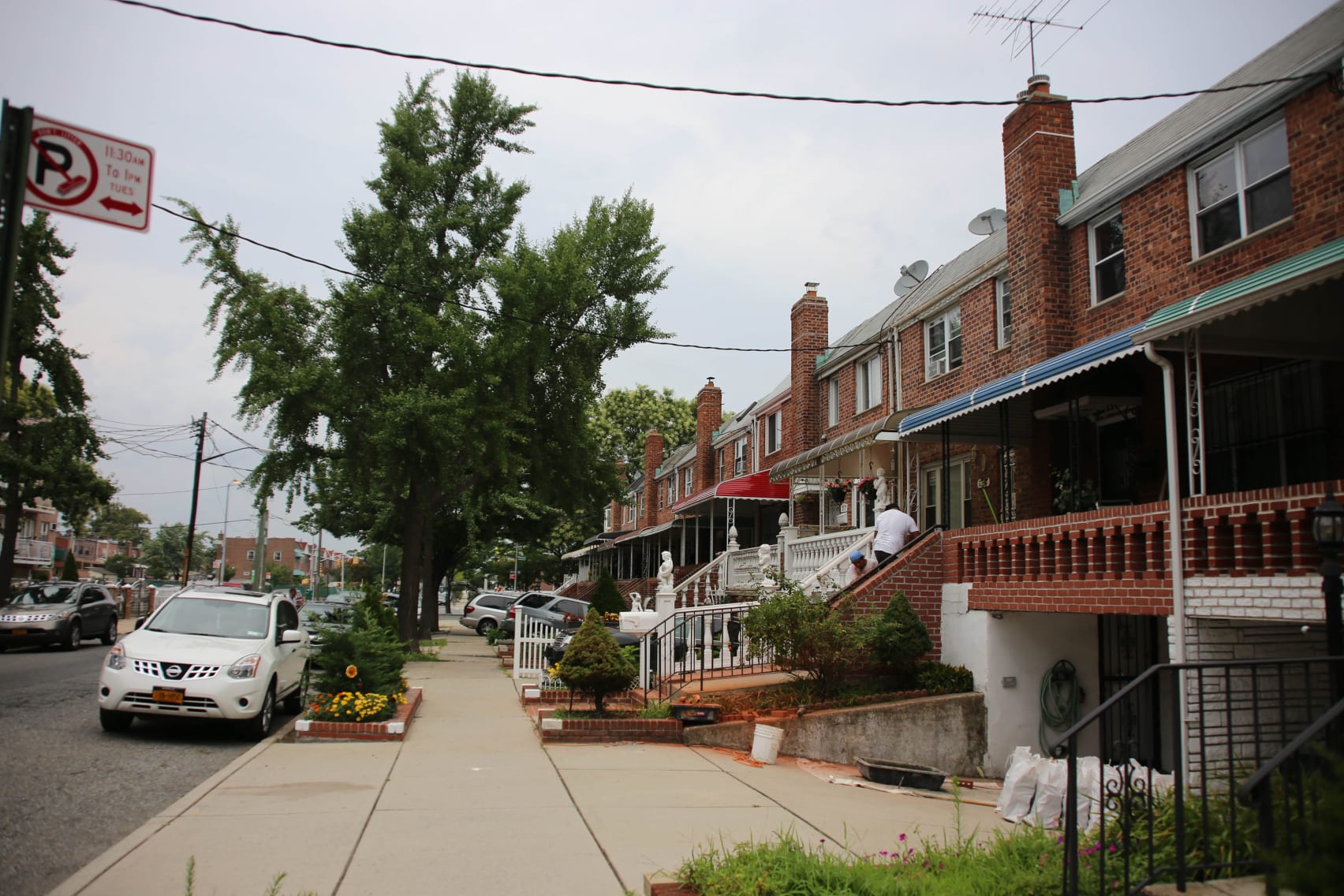 bird removal technician in jackson heights