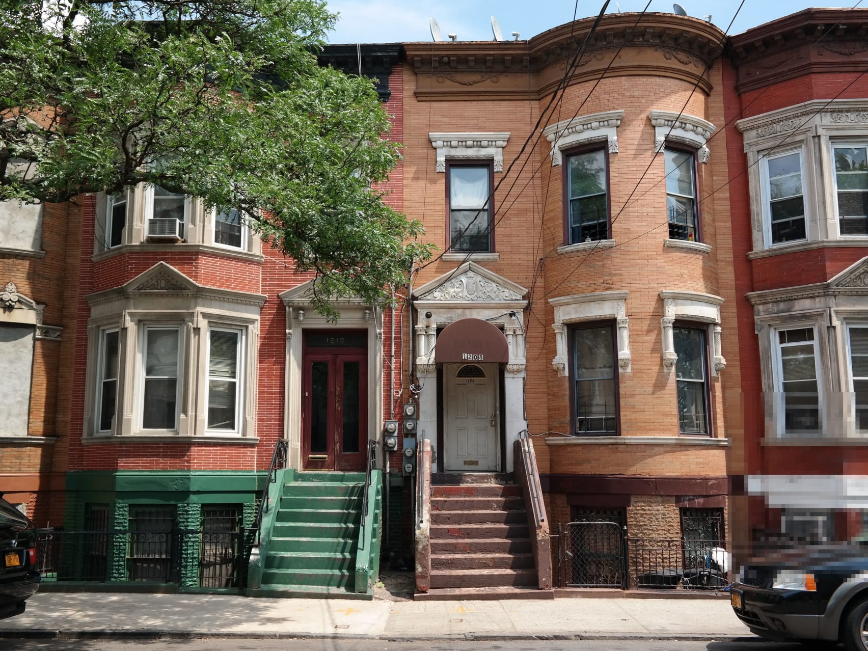 bird removal technician in morrisania and crotona