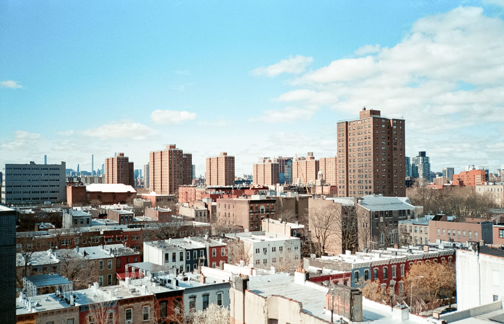 termite exterminator in mott haven and melrose