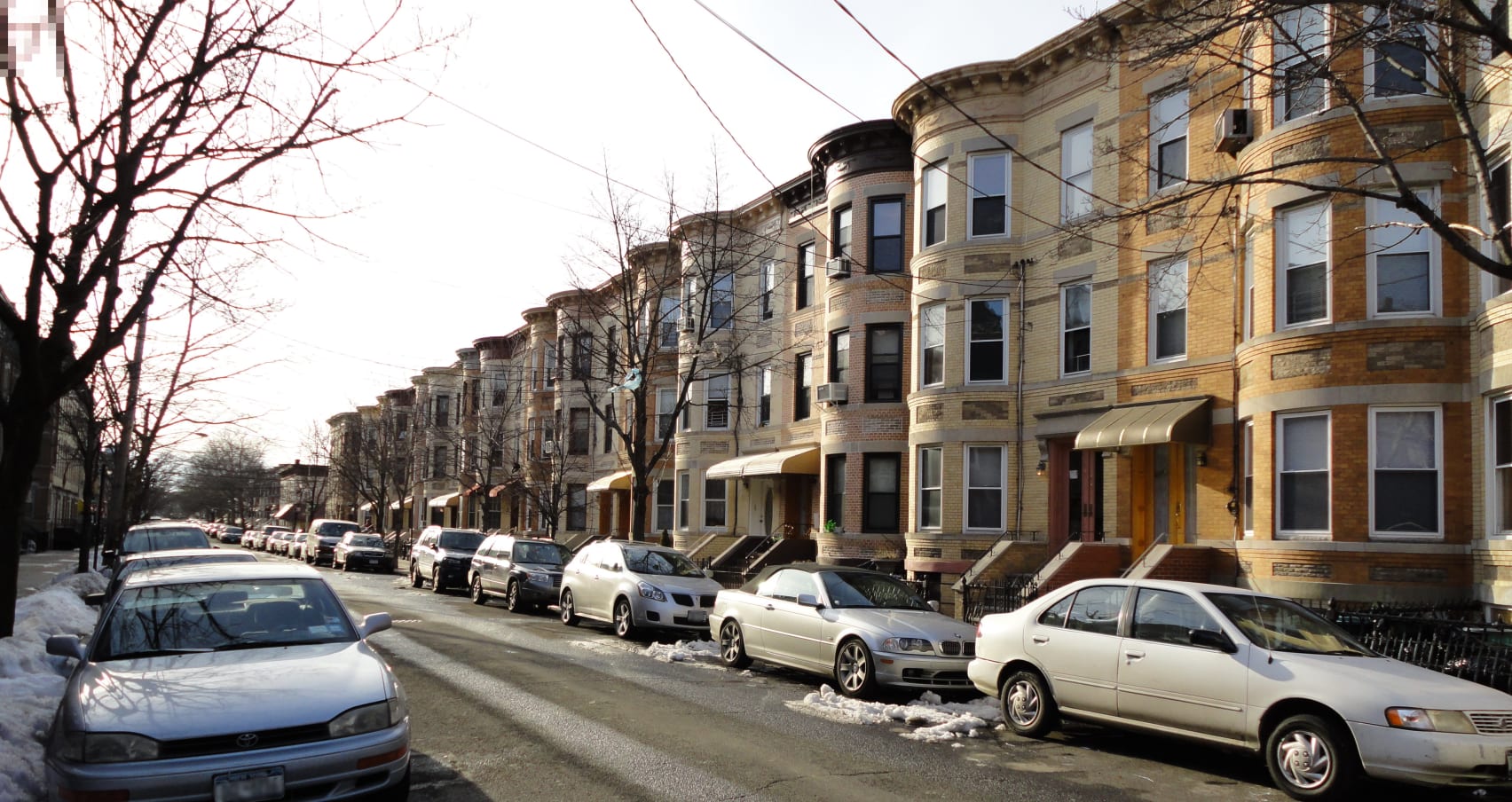 moth & beetle exterminator in ridgewood and maspeth