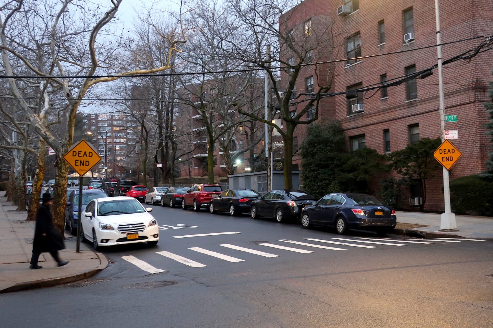 pest control in riverdale and fieldston