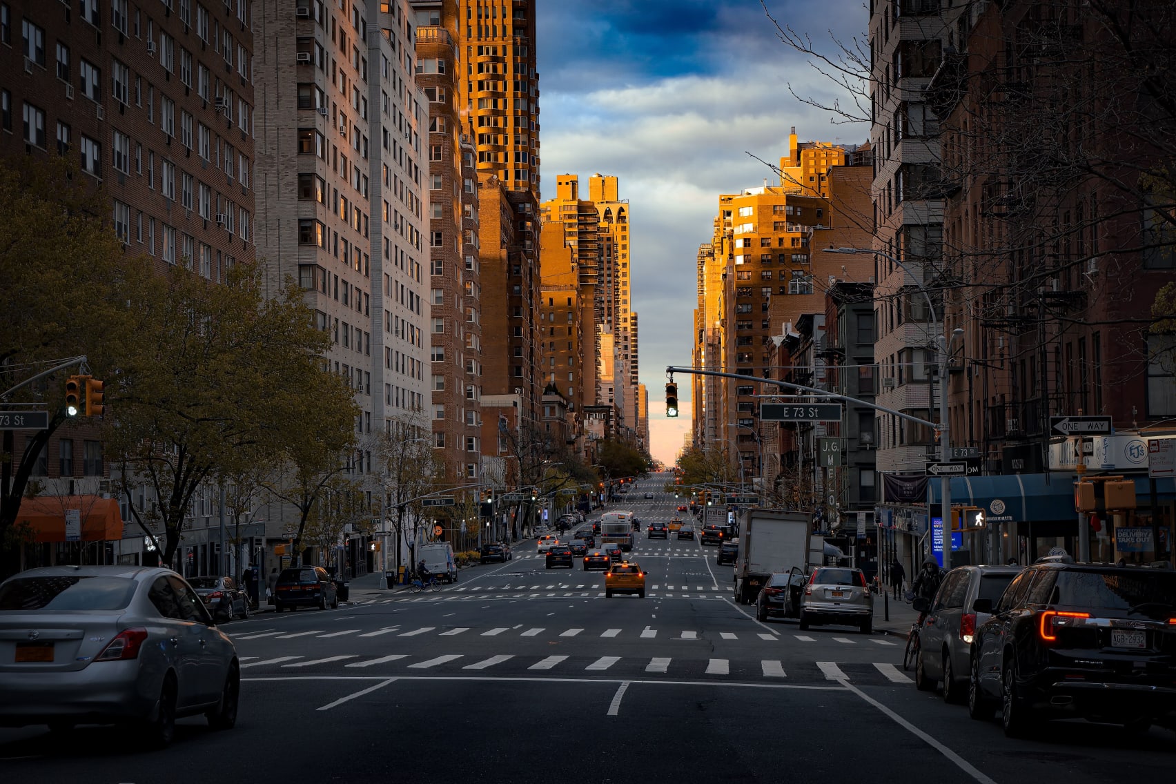 pest control in upper east side