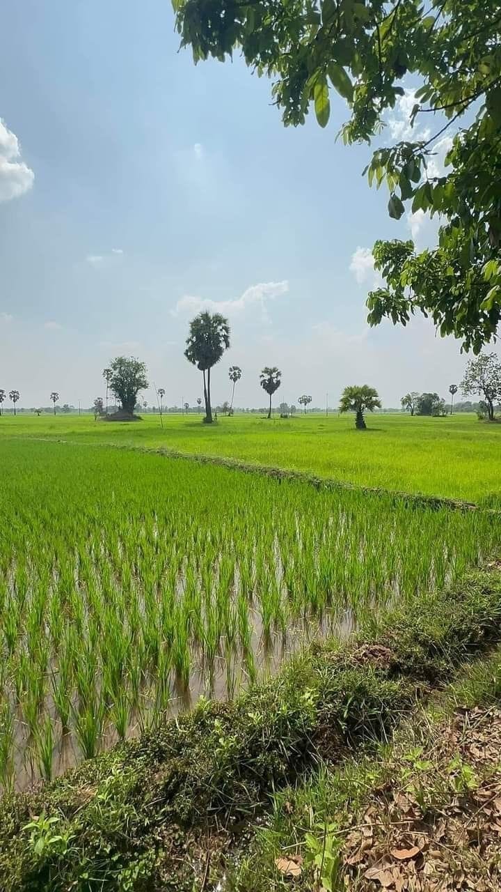 Mira Khel - A Village in Bannu