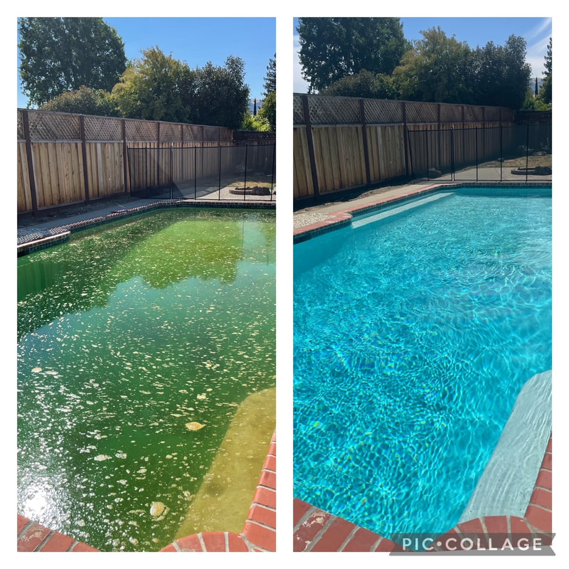 Before and After 8