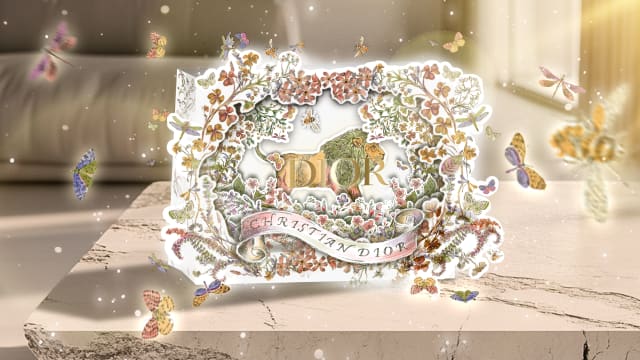 Dior × Christmas AR Packaging