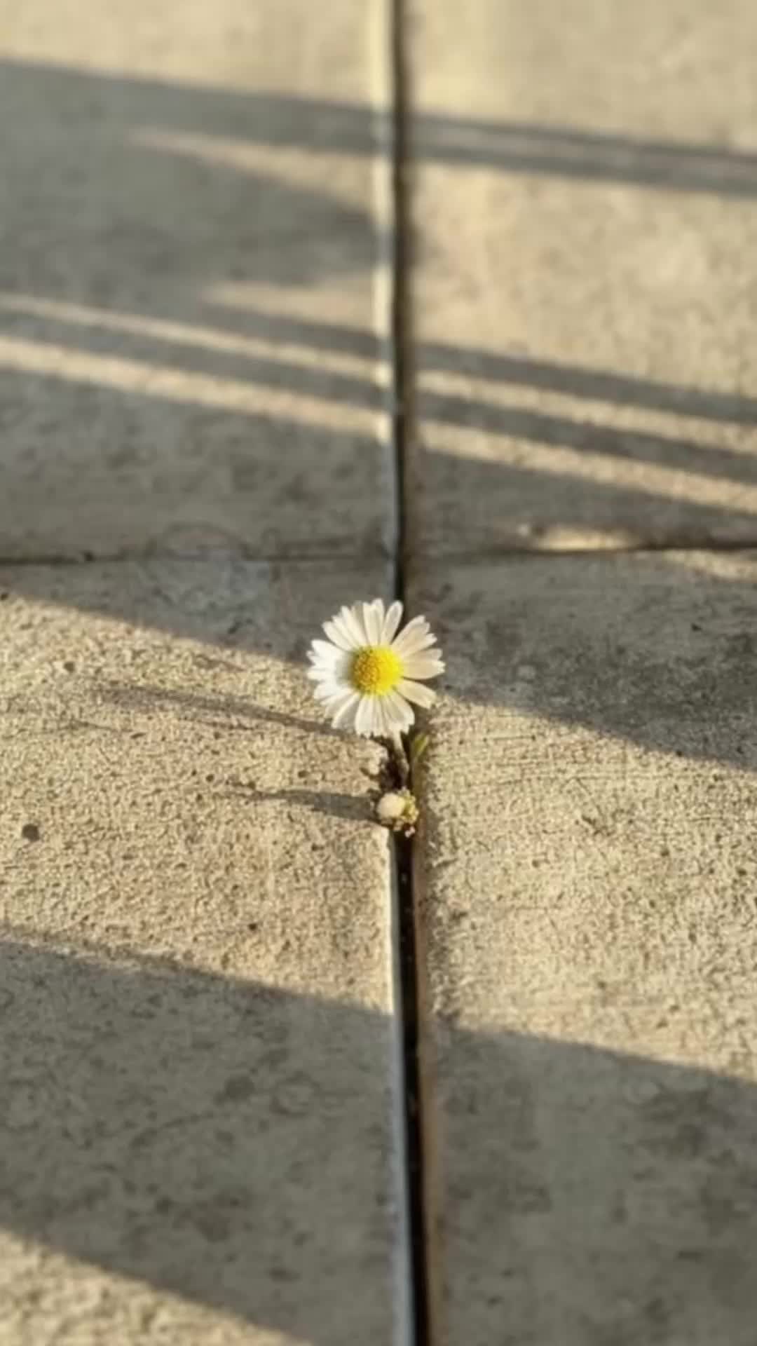 NYC