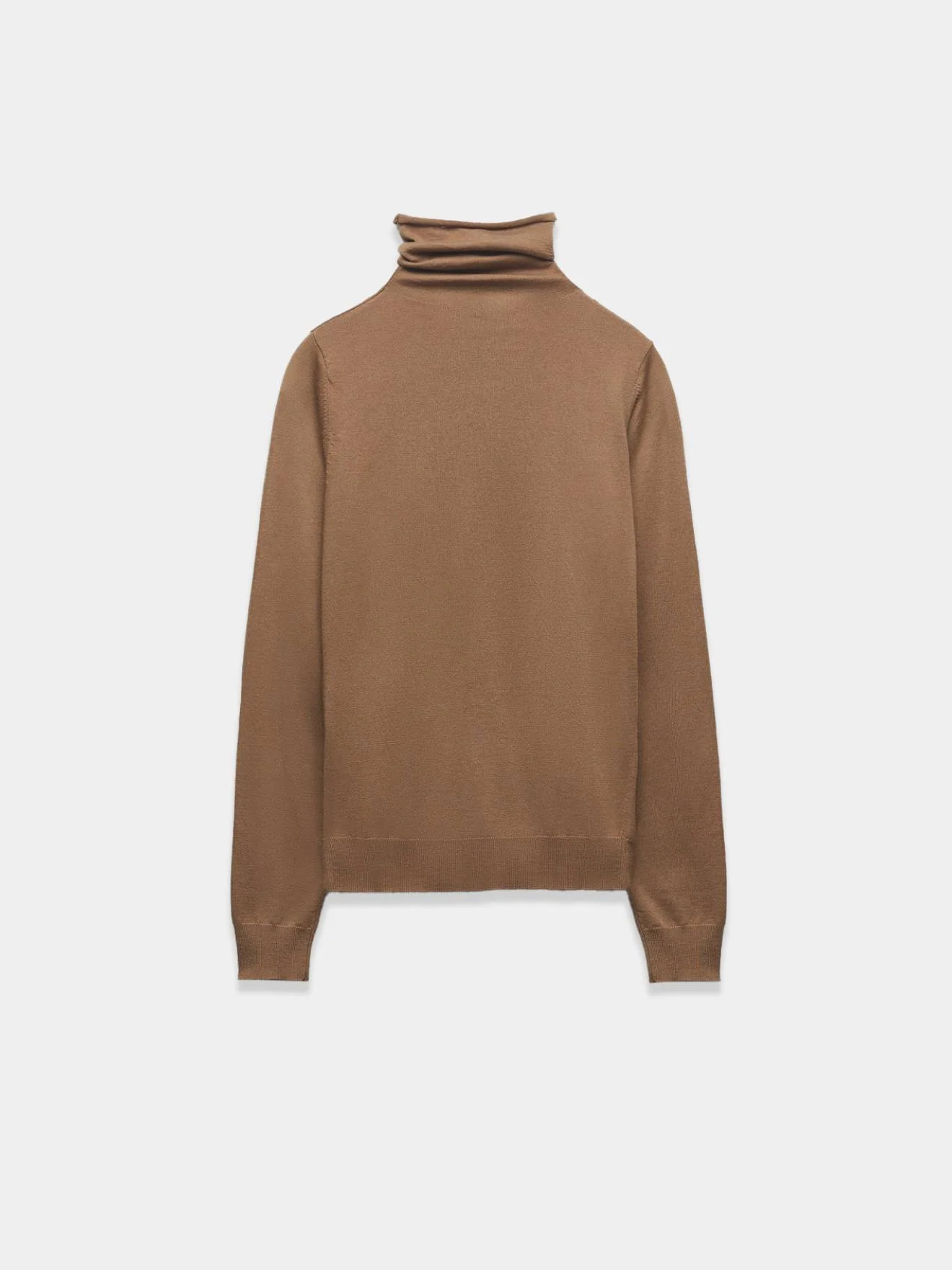 Brown Turtleneck