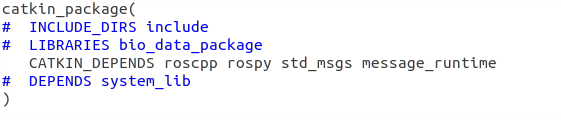 catkin_package