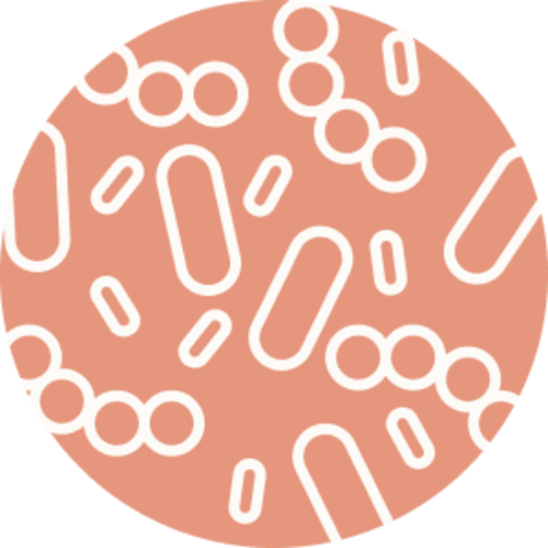 Postbiotica — het schild dat de darmwand beschermt