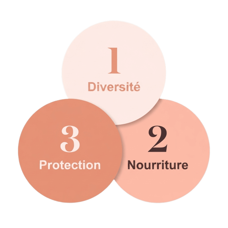 Trois cercles — 1 Diversité, 2 Nourriture, 3 Protection — formant le système 3-en-1