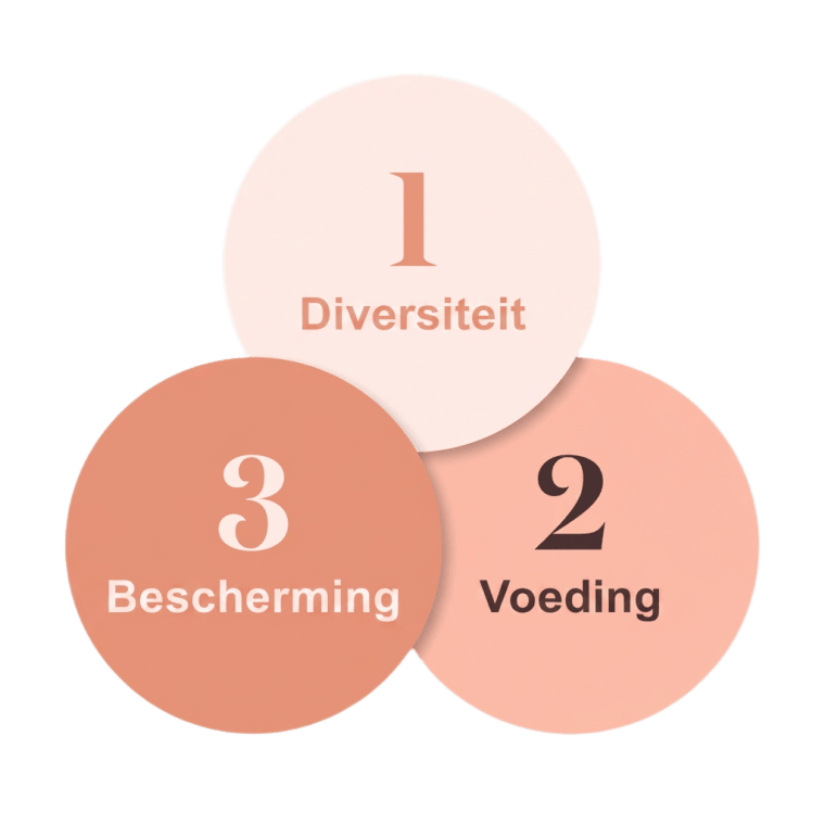 Drie cirkels — 1 Diversiteit, 2 Voeding, 3 Bescherming — die samen het 3-in-1 systeem vormen