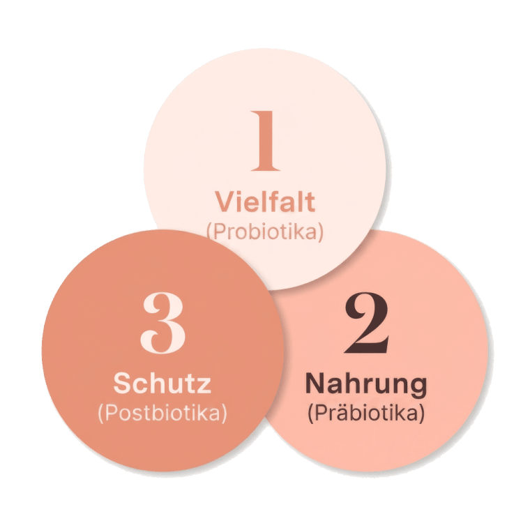 Drei Kreise — 1 Vielfalt (Probiotika), 2 Nahrung (Präbiotika), 3 Schutz (Postbiotika) — die das 3-in-1-System bilden