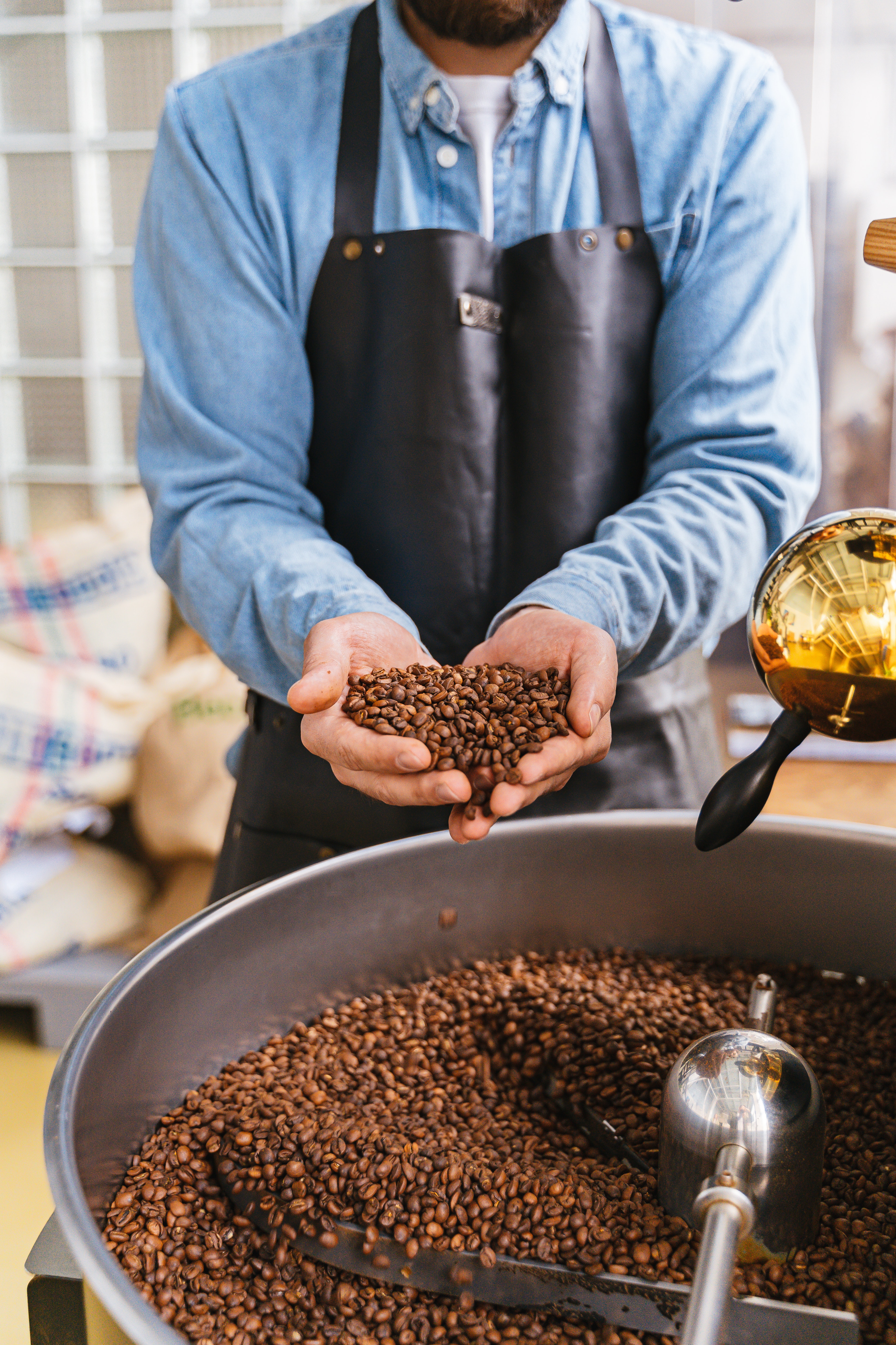 A picture from a roastery, hands holding roasted beans