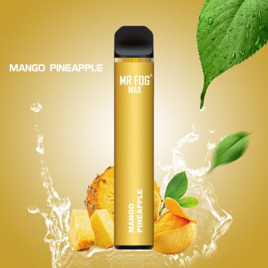 Mr Fog Max 1000 Puffs 3