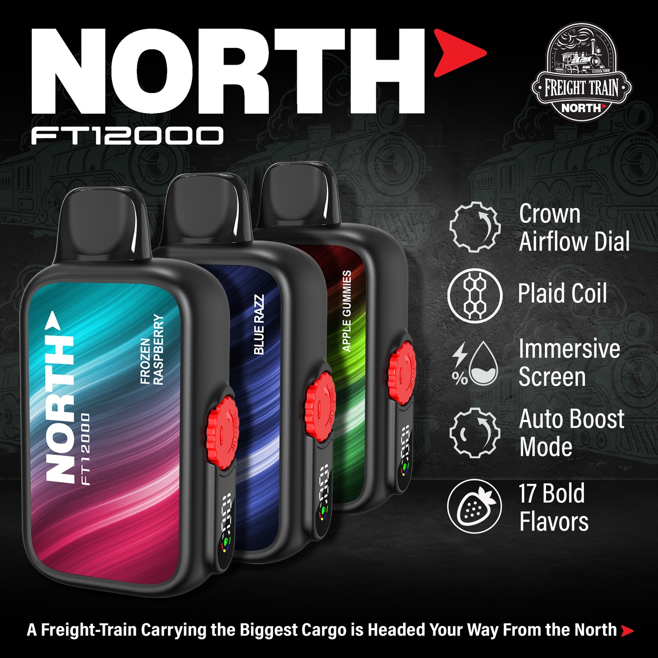 North 12000 Puffs 2
