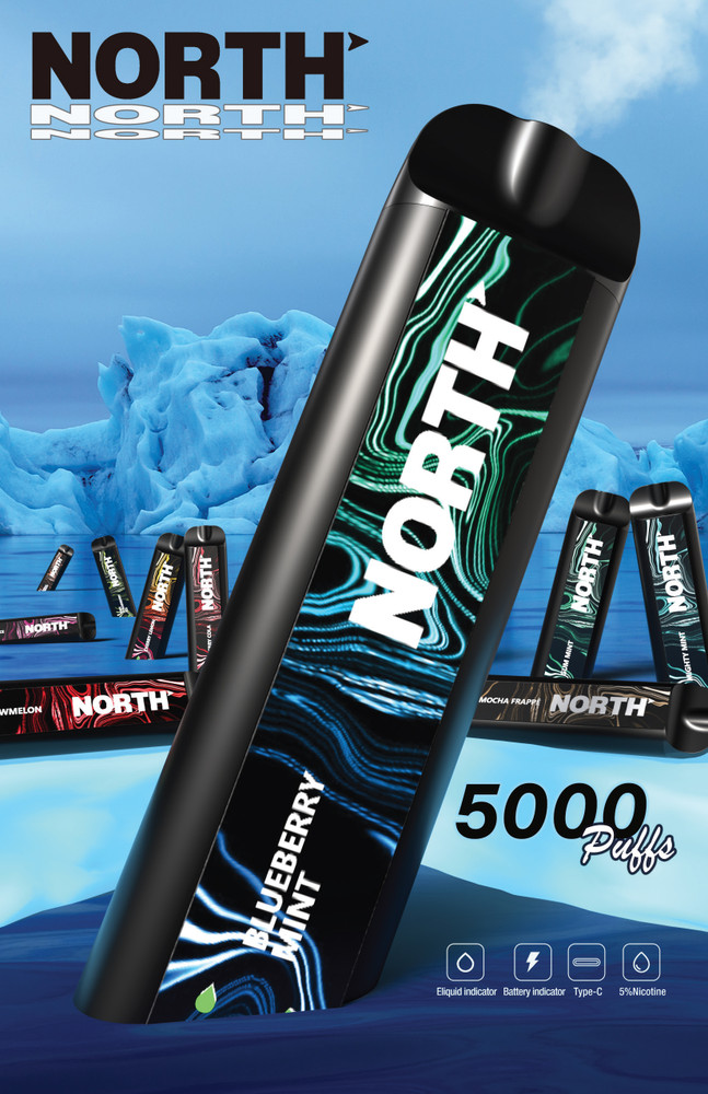 North 5000 Puffs 2