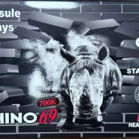 Rhino 69 7000K Extreme (2pack)