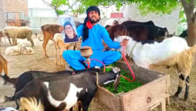 Hookah Goat Farm Prank Video Greeting - Thumbnail