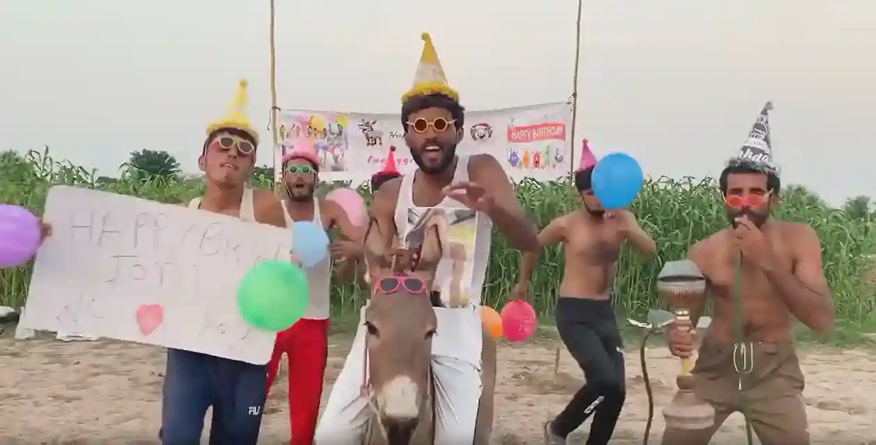 We Will Record a Funny Happy Birthday Video with a Donkey In Natural Settings
