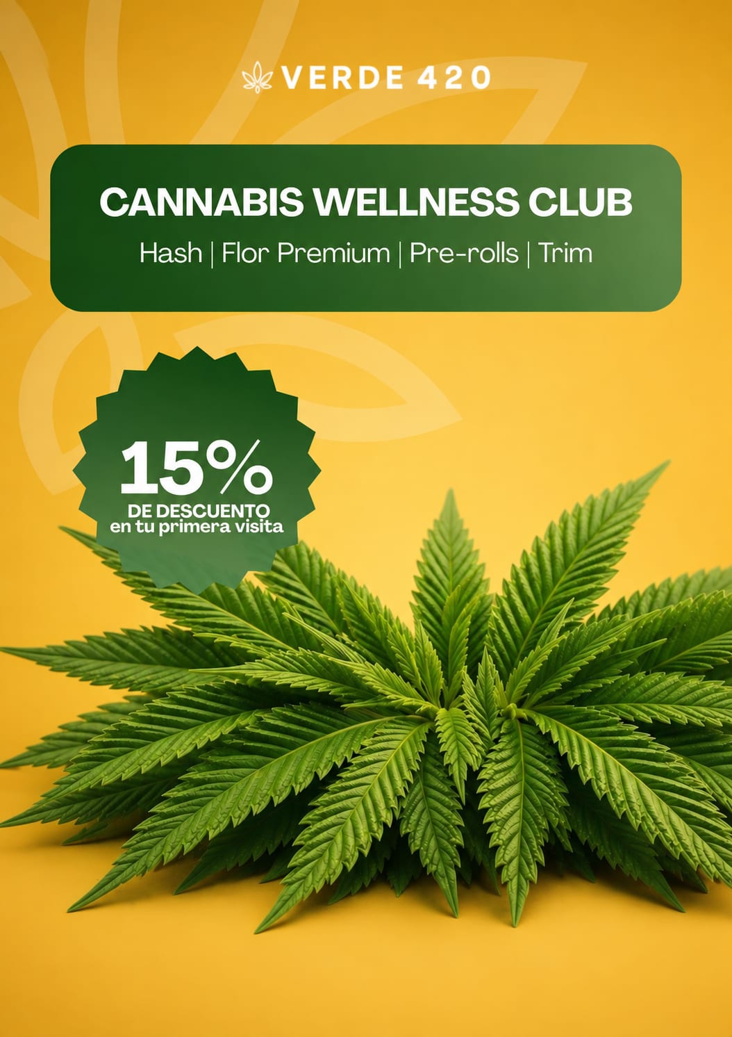 Oferta VERDE 420