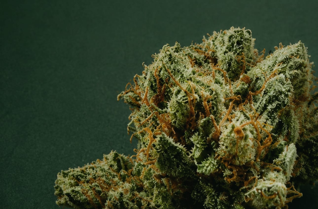 Calidad Seleccionada — Verde 420
