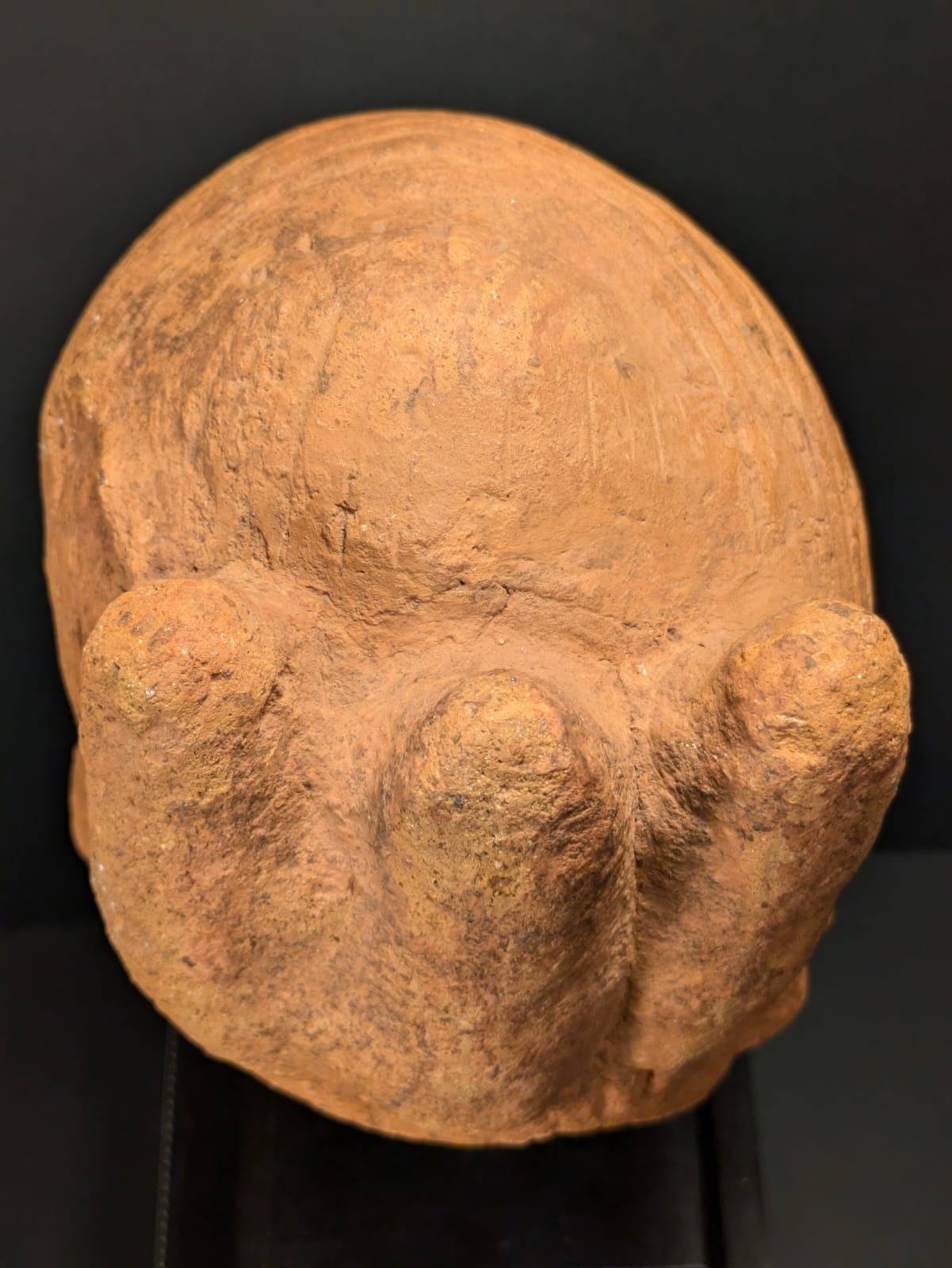 Nok terracotta man head above