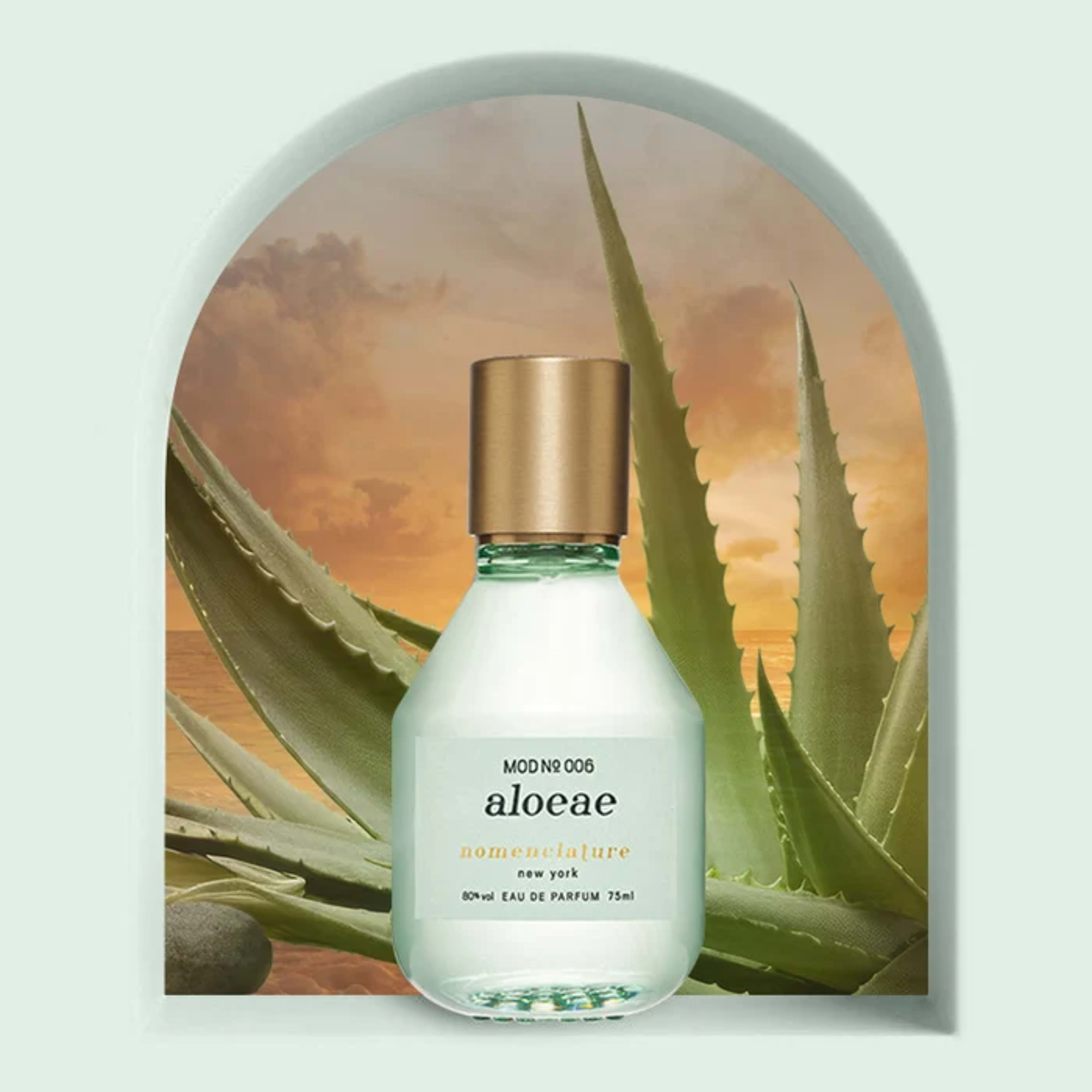 Nomenclature aloeae