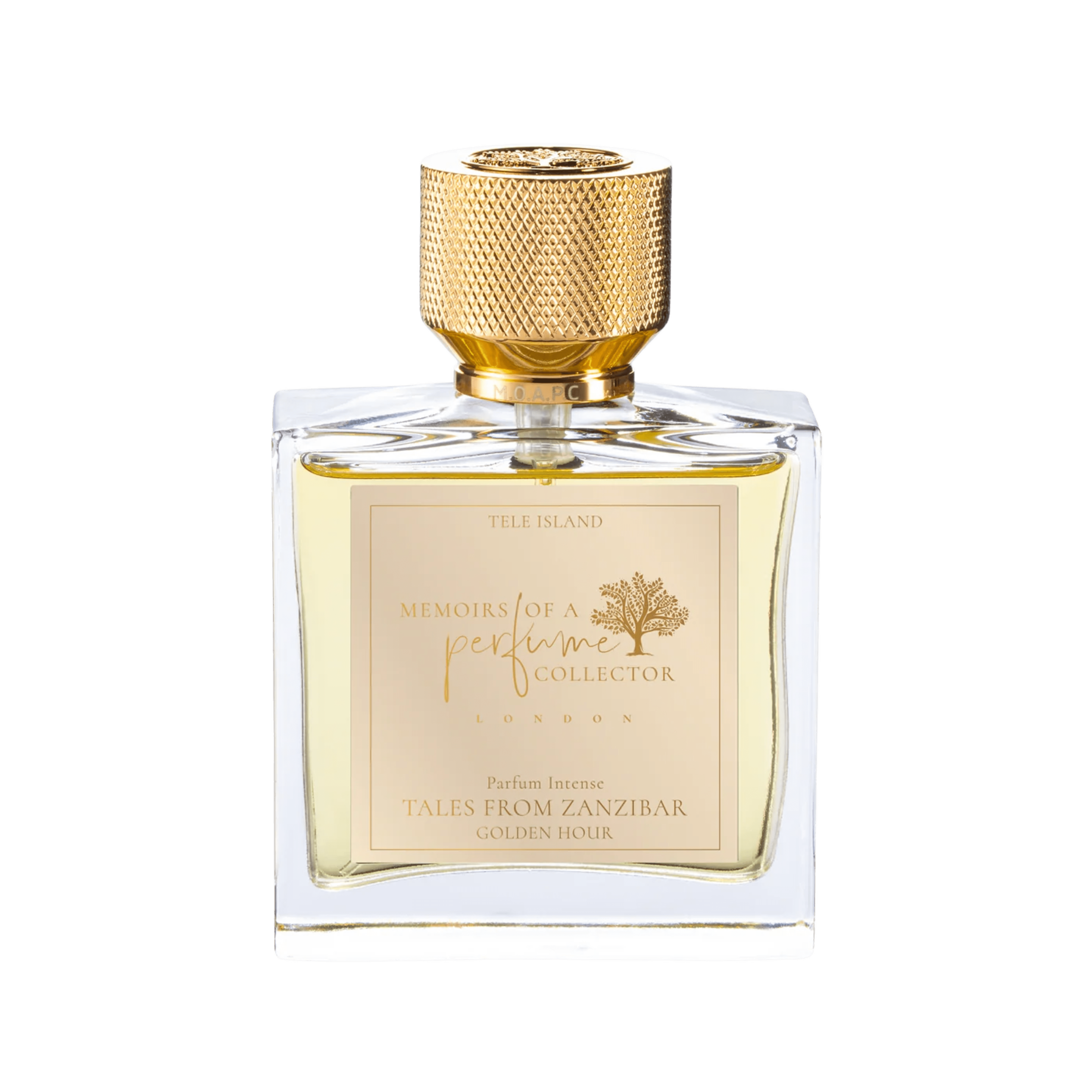 MEMOIRS OF A PERFUME COLLECTOR Tales From Zanzibar Golden Hour