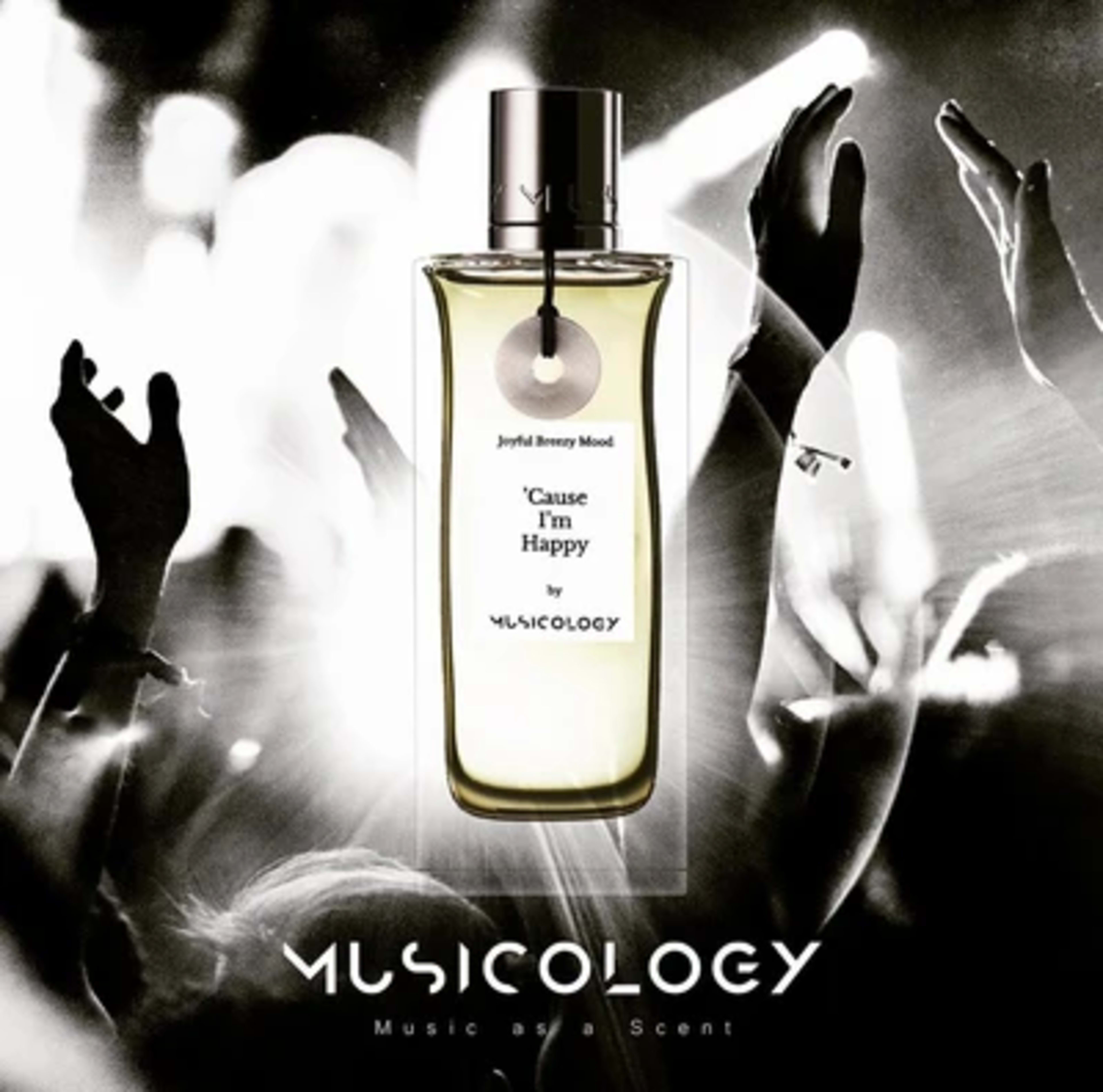 MUSICOLOGY Cause I'm Happy
