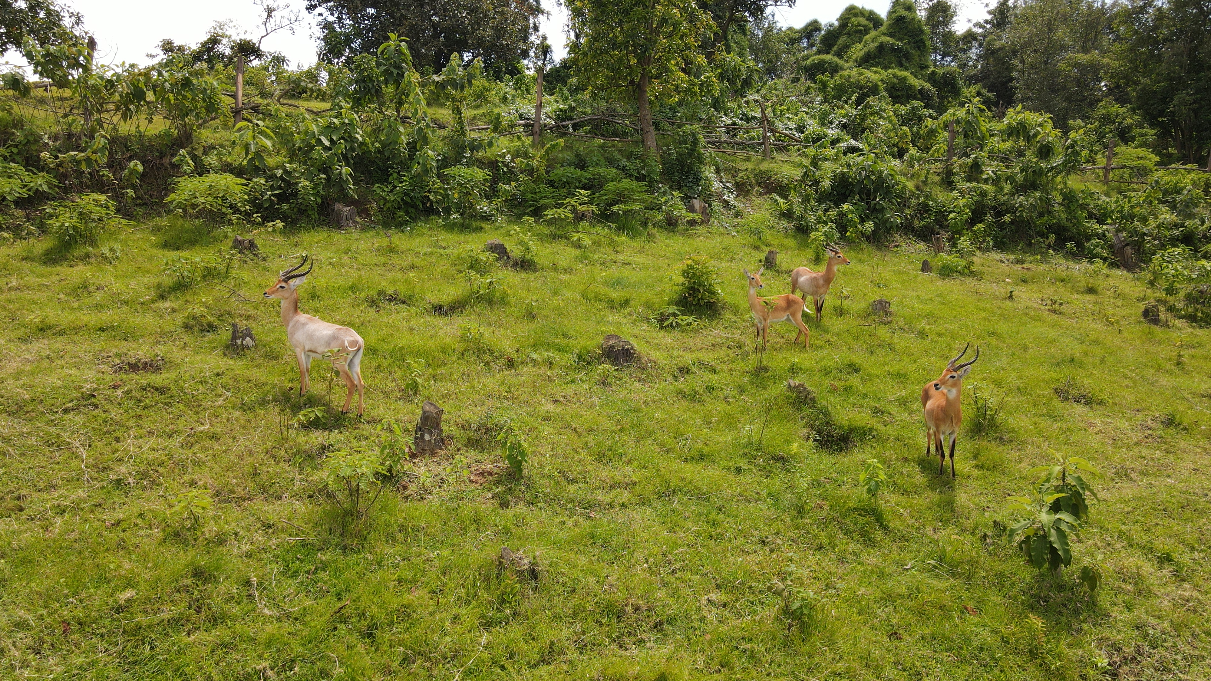Captured along Lake Bunyonyi