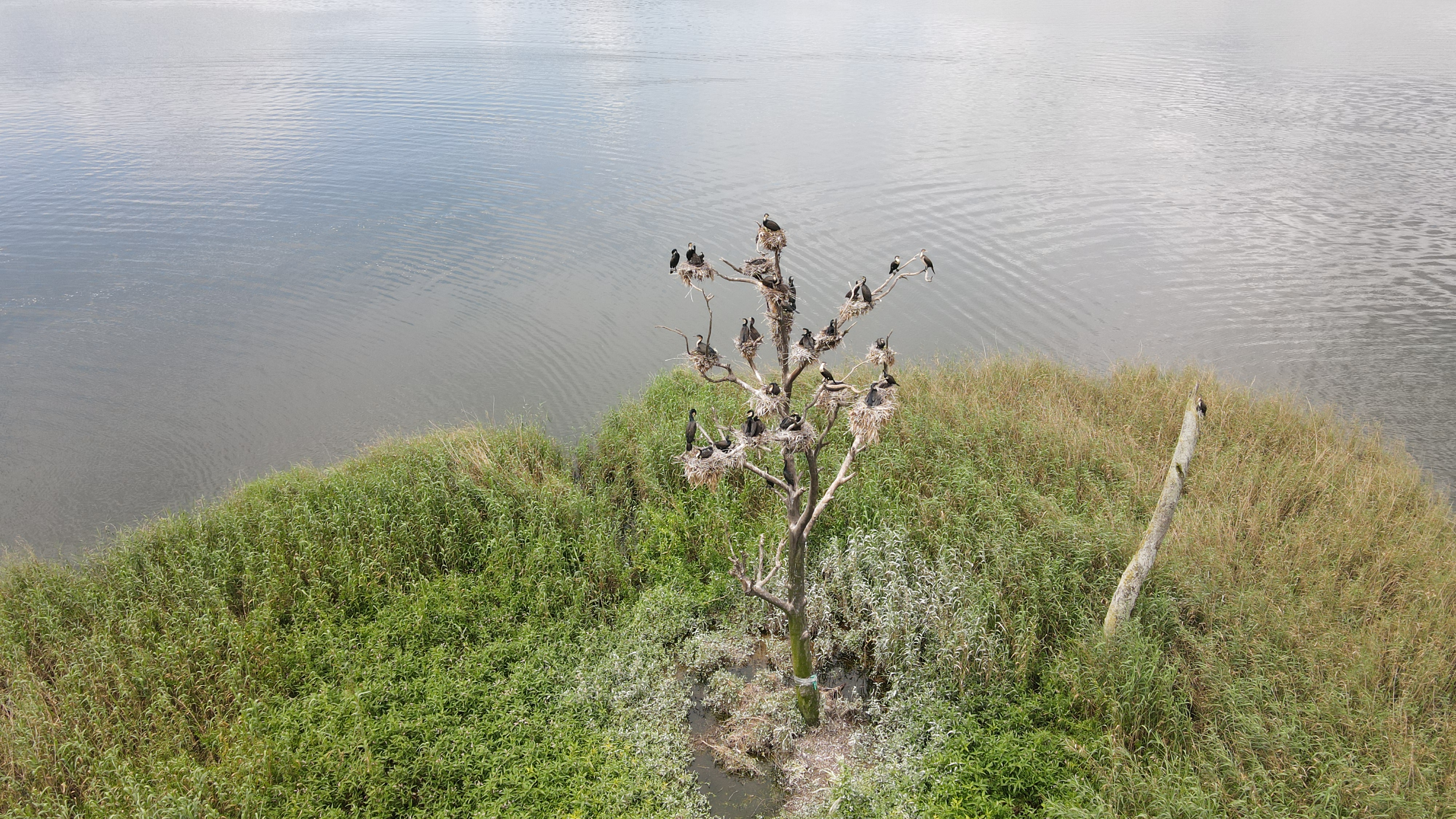 Perhaps the most famous landmark on Lake Bunyonyi. Historically, unmarried pregnant girls were abandoned here as a lesson to others.