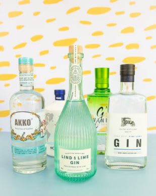 אלכוהול גין