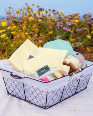 סלי פיקניק 1