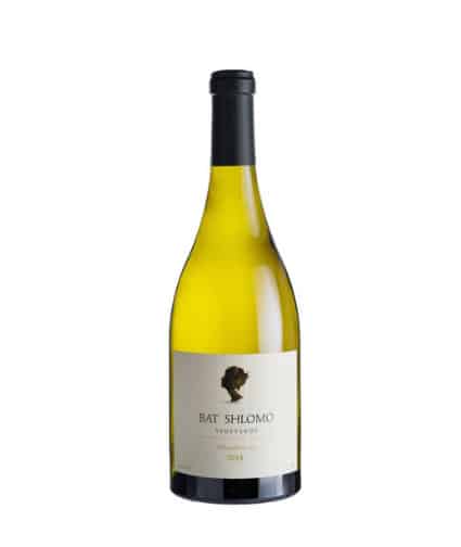 בת שלמה שרדונה בת שלמה שרדונה 1