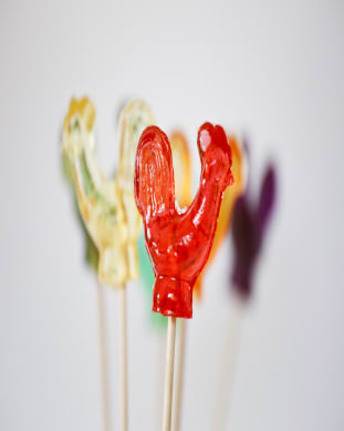 סוכריית תרנגול הילה הוכמן