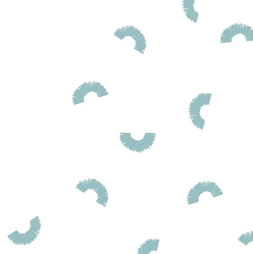 ABOUT US BG 1 e1620129592390