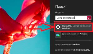 Запуск центра обновления через поиск Windows 8