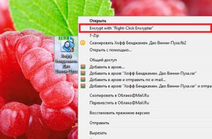 Encrypt with «Right-Click Encrypter