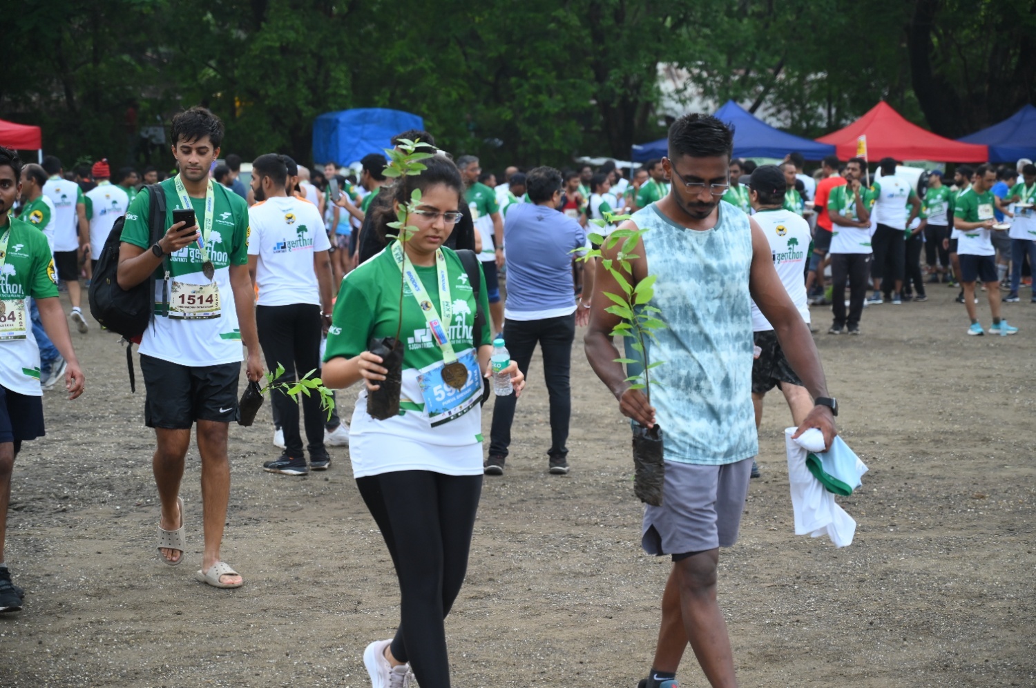 Tree Plantation