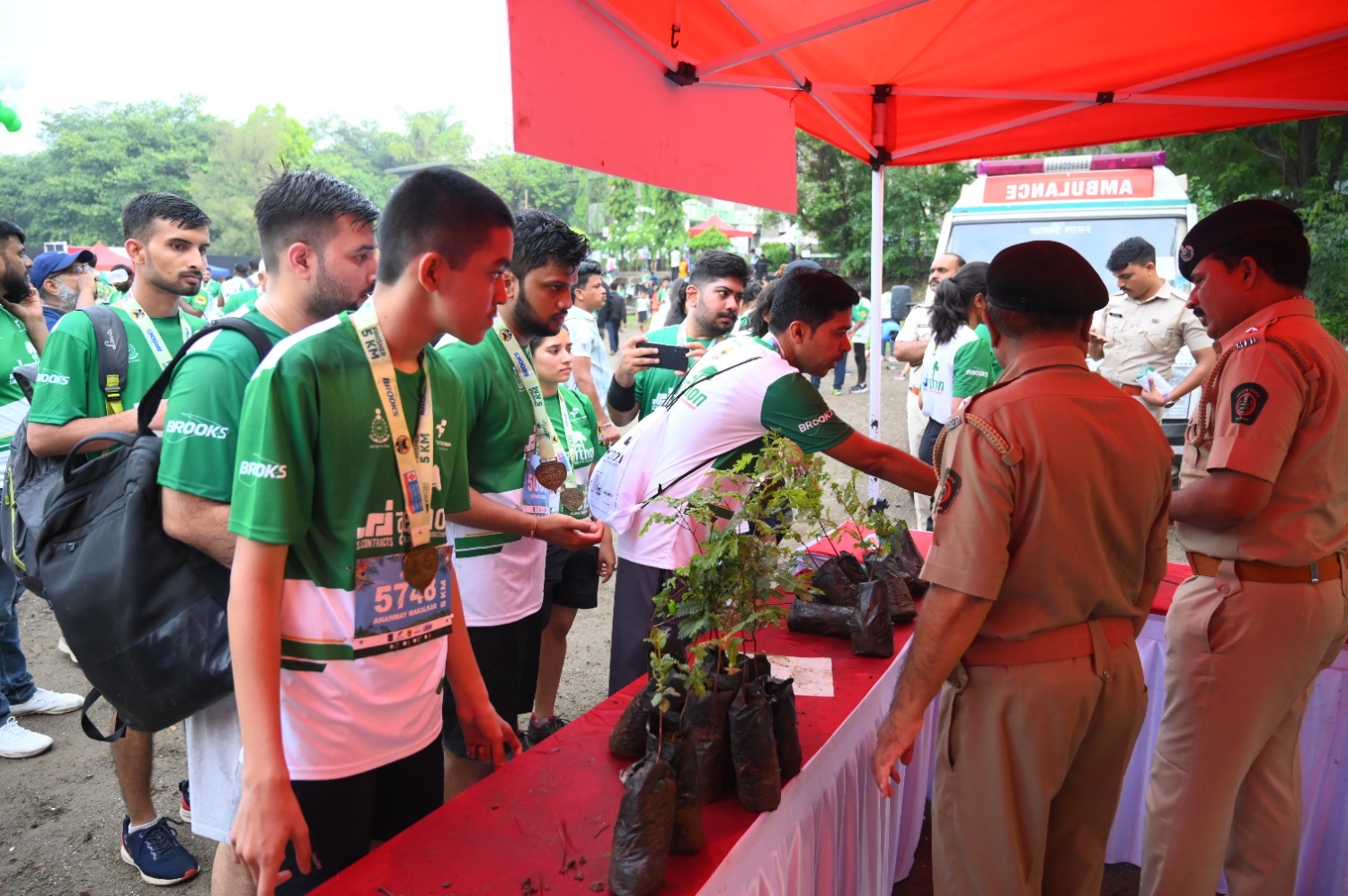 Tree Plantation