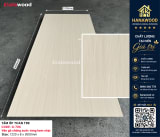 Galawood G-706 8mm Vân Gỗ Xước Vàng Kem Nhạt thô mộc ấm cúng