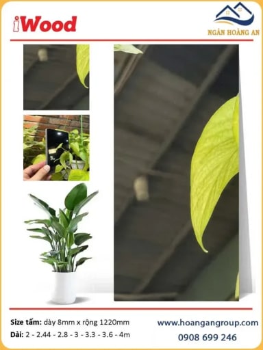 Tấm Than Tre Ốp Tường iWood Film Tráng Gương Bạc