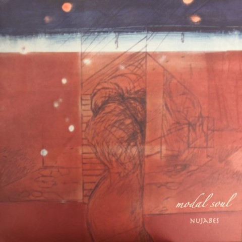Vinyl record cover