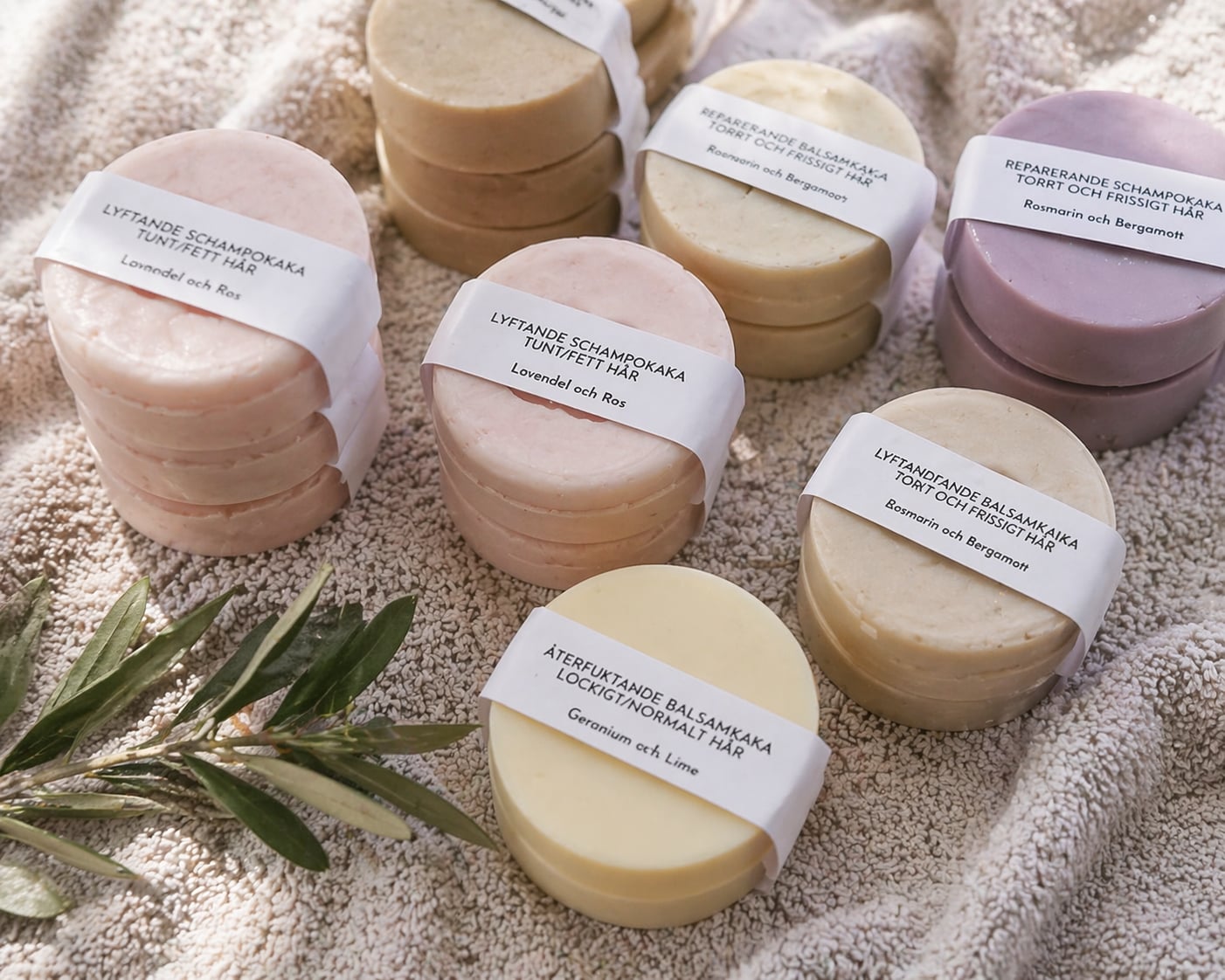 När visionen möter verklighetens utmaningar – Möt Anna Trankell