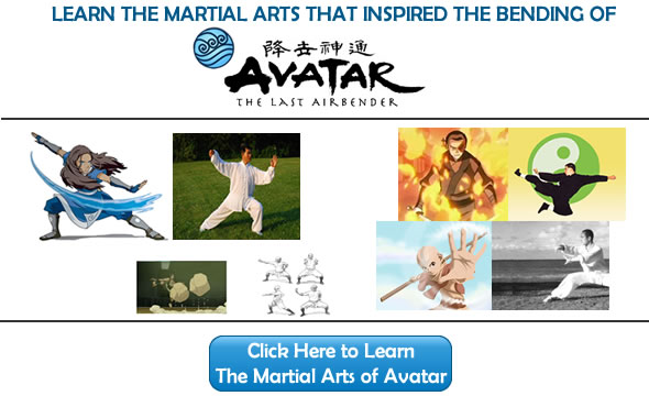 Learn The Martial Arts of Avatar The Last Airbender