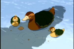 Turtle Duck