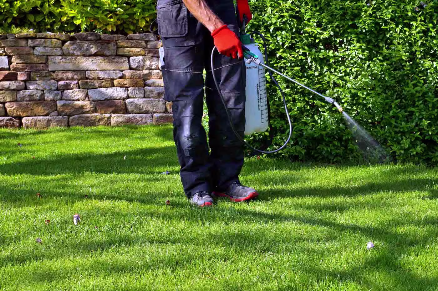 DIY Natural Pest Control Methods