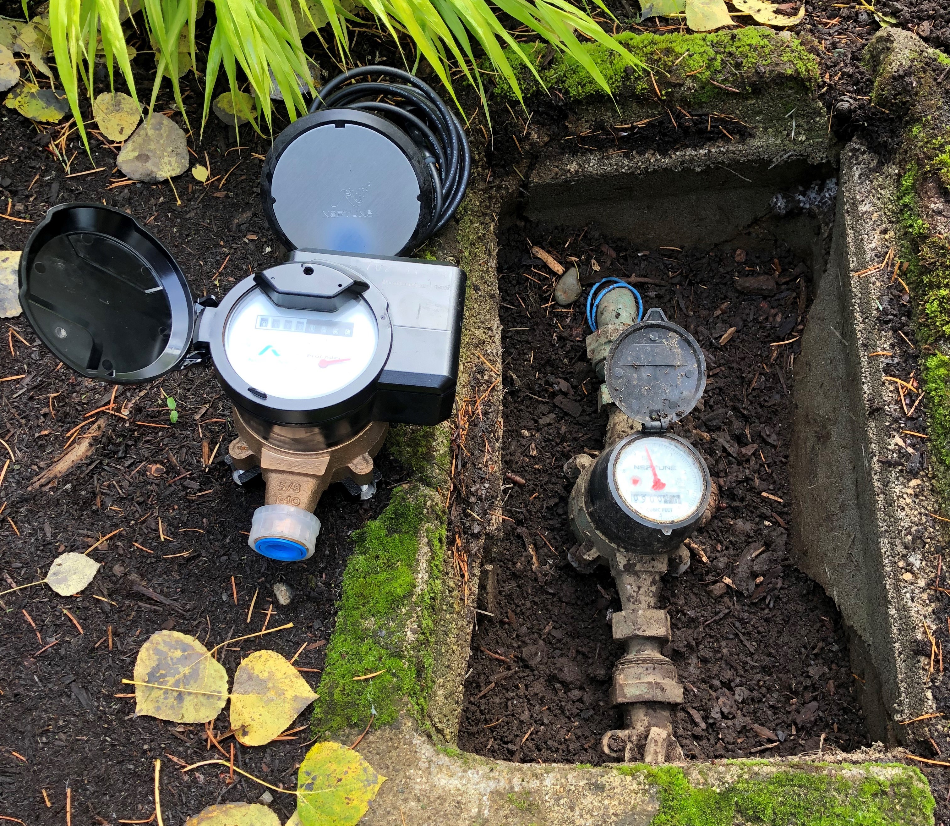 Water Efficiency Audit